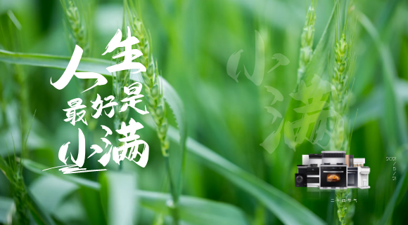 十大品牌科恩集成灶：厨房亦需“小满”！